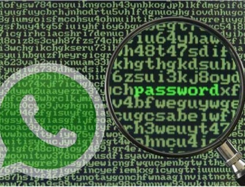 WhatsApp: confira a dica  para duplicar e proteger a sua conta (conforme visto no Fantástico)